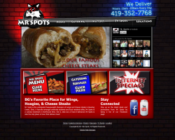 Toledo website designer