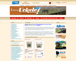 Toledo Web Shop Design